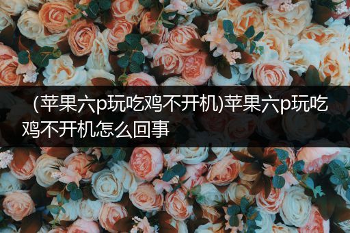 （苹果六p玩吃鸡不开机)苹果六p玩吃鸡不开机怎么回事