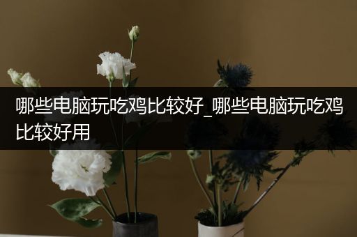 哪些电脑玩吃鸡比较好_哪些电脑玩吃鸡比较好用