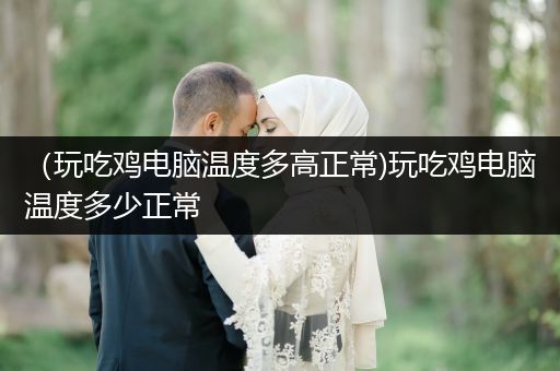（玩吃鸡电脑温度多高正常)玩吃鸡电脑温度多少正常