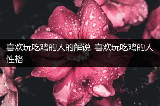 喜欢玩吃鸡的人的解说_喜欢玩吃鸡的人性格