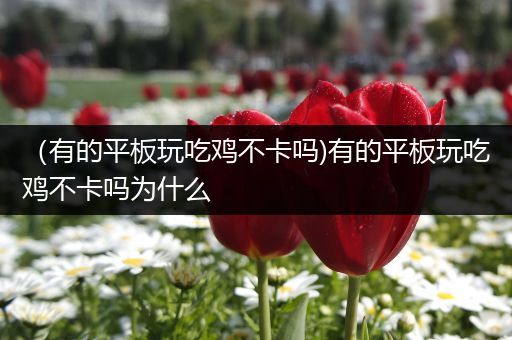 （有的平板玩吃鸡不卡吗)有的平板玩吃鸡不卡吗为什么