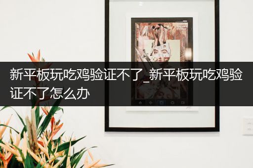 新平板玩吃鸡验证不了_新平板玩吃鸡验证不了怎么办