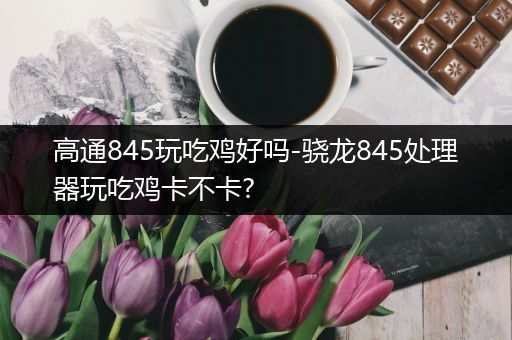 高通845玩吃鸡好吗-骁龙845处理器玩吃鸡卡不卡?