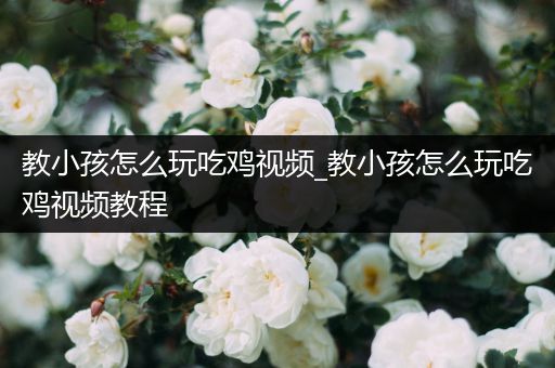 教小孩怎么玩吃鸡视频_教小孩怎么玩吃鸡视频教程