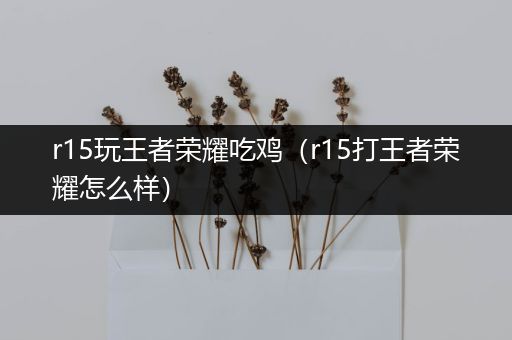 r15玩王者荣耀吃鸡（r15打王者荣耀怎么样）