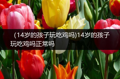（14岁的孩子玩吃鸡吗)14岁的孩子玩吃鸡吗正常吗