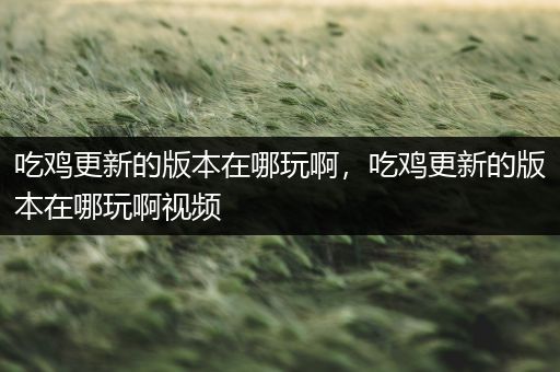 吃鸡更新的版本在哪玩啊，吃鸡更新的版本在哪玩啊视频
