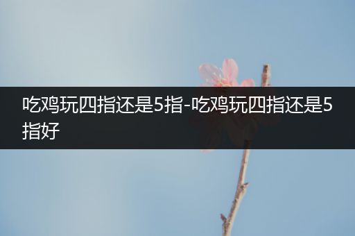 吃鸡玩四指还是5指-吃鸡玩四指还是5指好