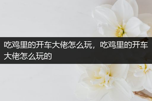 吃鸡里的开车大佬怎么玩，吃鸡里的开车大佬怎么玩的