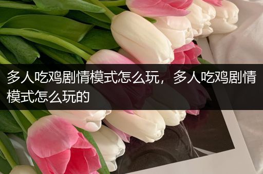 多人吃鸡剧情模式怎么玩，多人吃鸡剧情模式怎么玩的