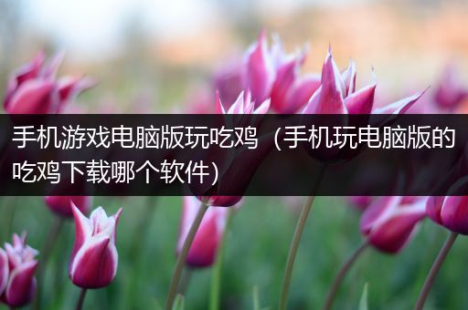 手机游戏电脑版玩吃鸡（手机玩电脑版的吃鸡下载哪个软件）