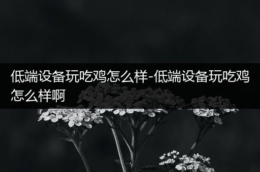 低端设备玩吃鸡怎么样-低端设备玩吃鸡怎么样啊