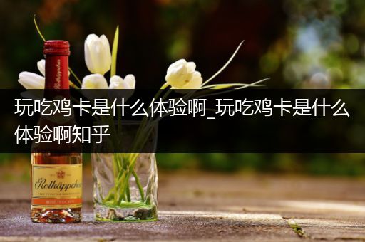 玩吃鸡卡是什么体验啊_玩吃鸡卡是什么体验啊知乎