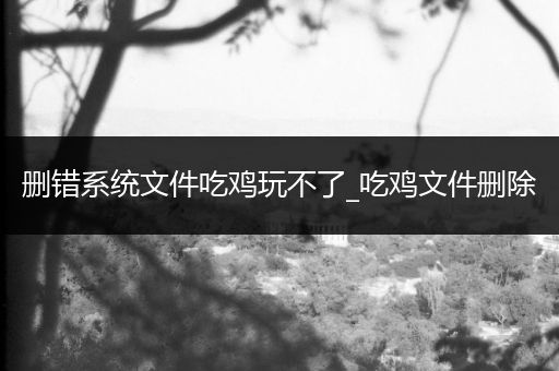 删错系统文件吃鸡玩不了_吃鸡文件删除