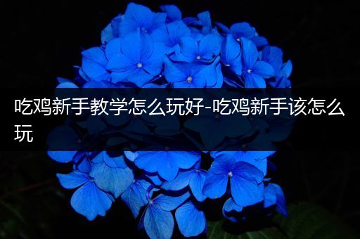 吃鸡新手教学怎么玩好-吃鸡新手该怎么玩