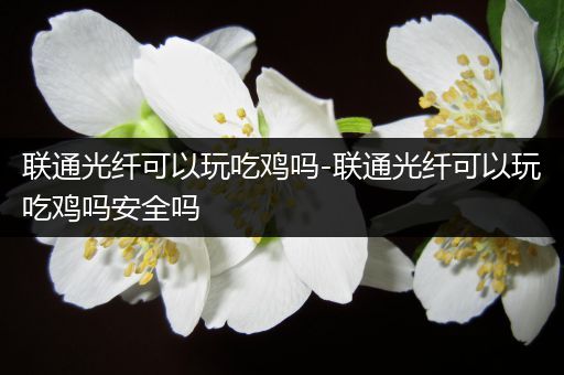 联通光纤可以玩吃鸡吗-联通光纤可以玩吃鸡吗安全吗