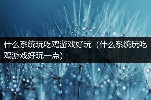 什么系统玩吃鸡游戏好玩（什么系统玩吃鸡游戏好玩一点）