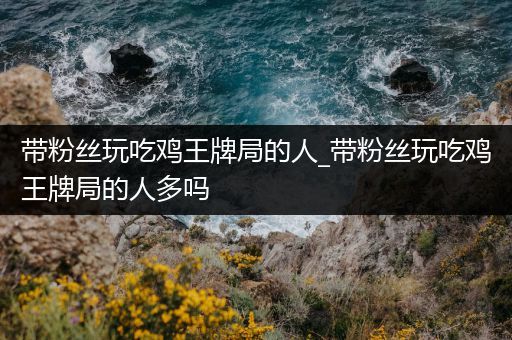 带粉丝玩吃鸡王牌局的人_带粉丝玩吃鸡王牌局的人多吗