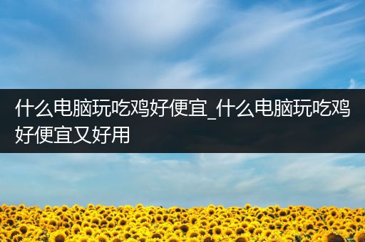 什么电脑玩吃鸡好便宜_什么电脑玩吃鸡好便宜又好用