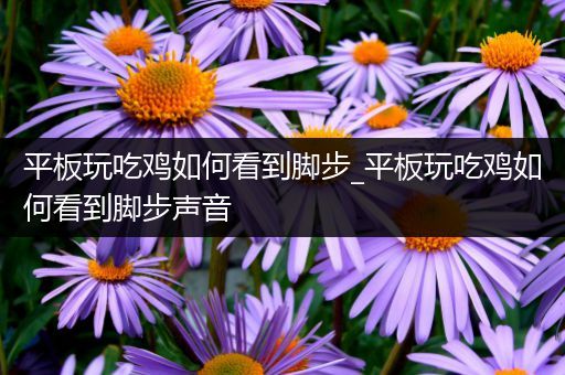 平板玩吃鸡如何看到脚步_平板玩吃鸡如何看到脚步声音