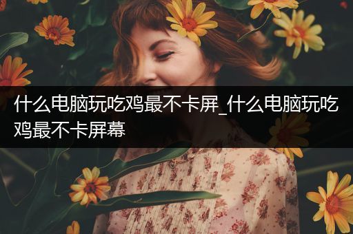 什么电脑玩吃鸡最不卡屏_什么电脑玩吃鸡最不卡屏幕