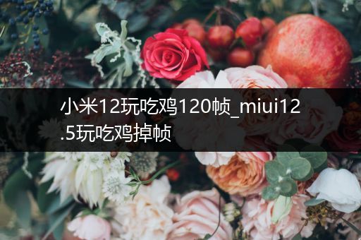 小米12玩吃鸡120帧_miui12.5玩吃鸡掉帧