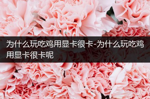 为什么玩吃鸡用显卡很卡-为什么玩吃鸡用显卡很卡呢