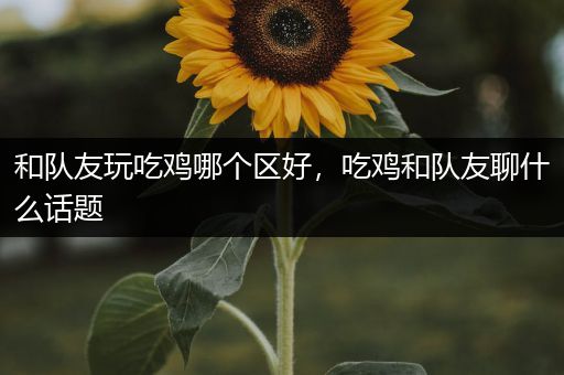 和队友玩吃鸡哪个区好，吃鸡和队友聊什么话题