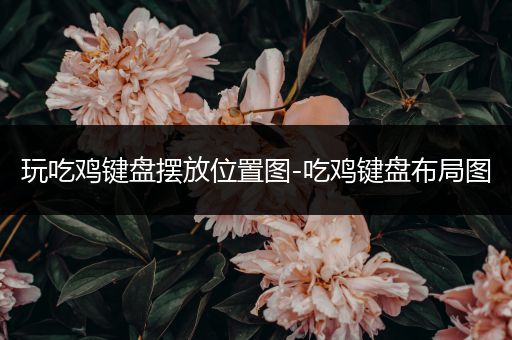 玩吃鸡键盘摆放位置图-吃鸡键盘布局图