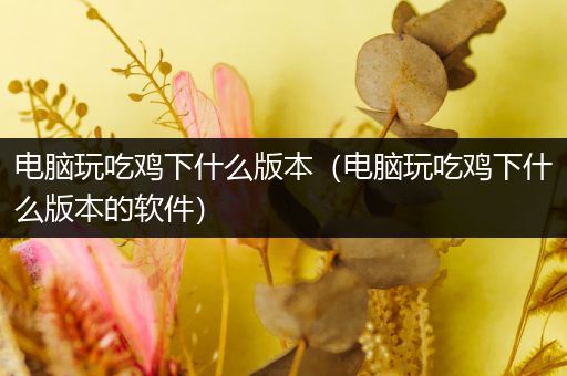 电脑玩吃鸡下什么版本（电脑玩吃鸡下什么版本的软件）