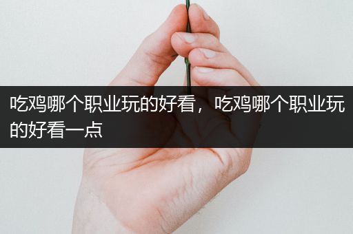 吃鸡哪个职业玩的好看，吃鸡哪个职业玩的好看一点