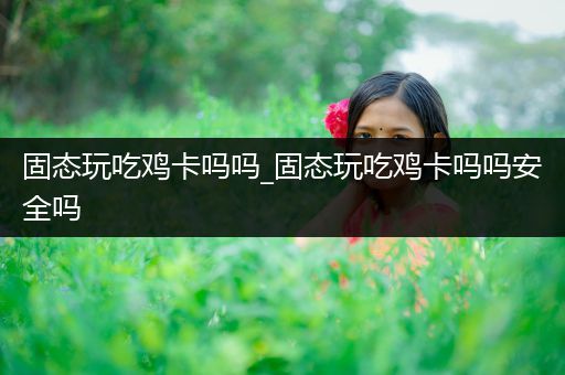 固态玩吃鸡卡吗吗_固态玩吃鸡卡吗吗安全吗