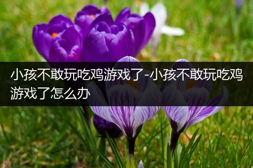 小孩不敢玩吃鸡游戏了-小孩不敢玩吃鸡游戏了怎么办