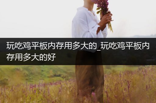 玩吃鸡平板内存用多大的_玩吃鸡平板内存用多大的好
