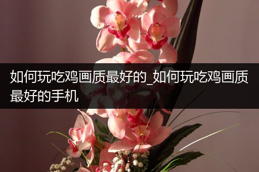 如何玩吃鸡画质最好的_如何玩吃鸡画质最好的手机