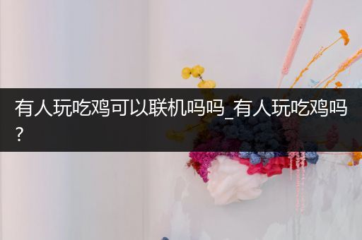 有人玩吃鸡可以联机吗吗_有人玩吃鸡吗?