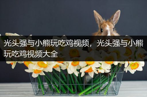 光头强与小熊玩吃鸡视频，光头强与小熊玩吃鸡视频大全