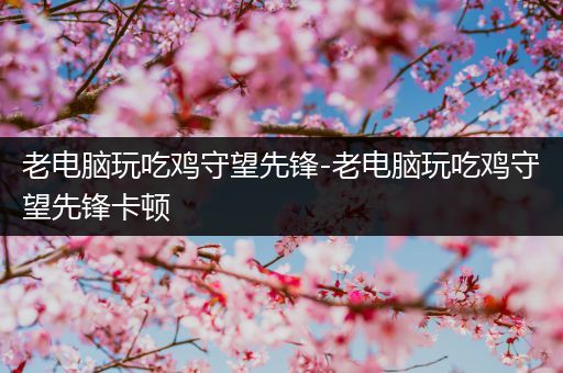 老电脑玩吃鸡守望先锋-老电脑玩吃鸡守望先锋卡顿