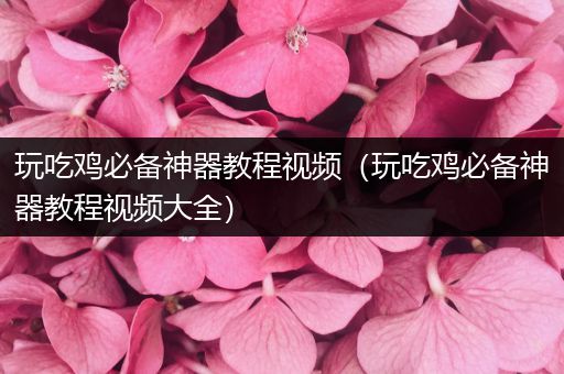 玩吃鸡必备神器教程视频（玩吃鸡必备神器教程视频大全）