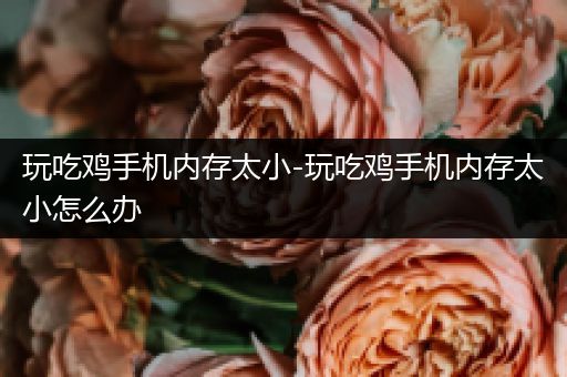玩吃鸡手机内存太小-玩吃鸡手机内存太小怎么办