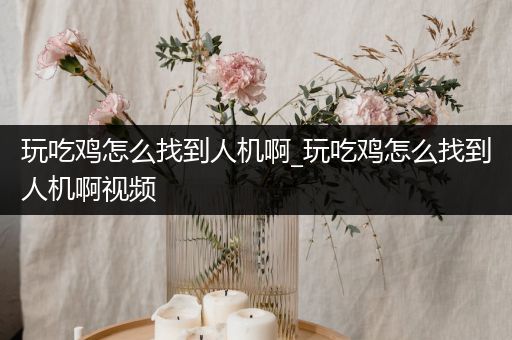 玩吃鸡怎么找到人机啊_玩吃鸡怎么找到人机啊视频
