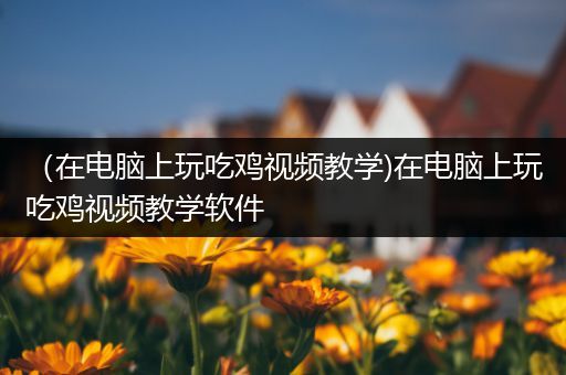（在电脑上玩吃鸡视频教学)在电脑上玩吃鸡视频教学软件