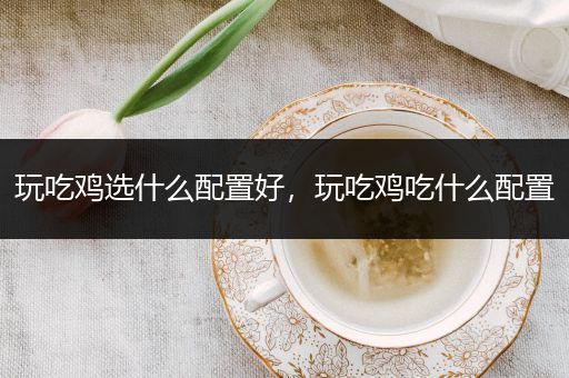 玩吃鸡选什么配置好，玩吃鸡吃什么配置