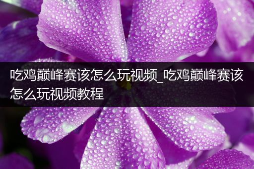 吃鸡巅峰赛该怎么玩视频_吃鸡巅峰赛该怎么玩视频教程