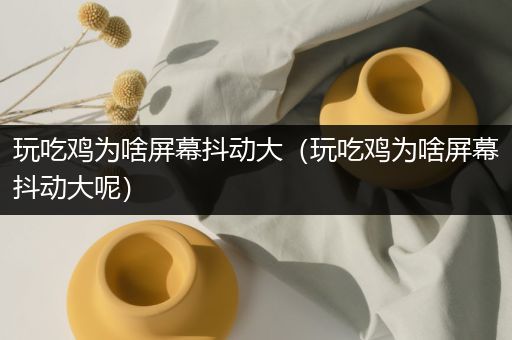 玩吃鸡为啥屏幕抖动大（玩吃鸡为啥屏幕抖动大呢）