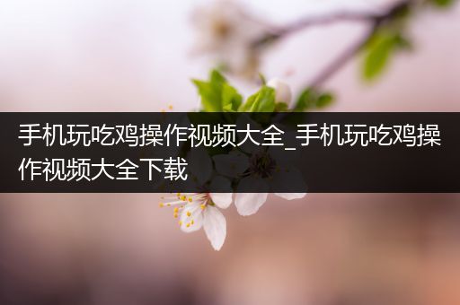 手机玩吃鸡操作视频大全_手机玩吃鸡操作视频大全下载