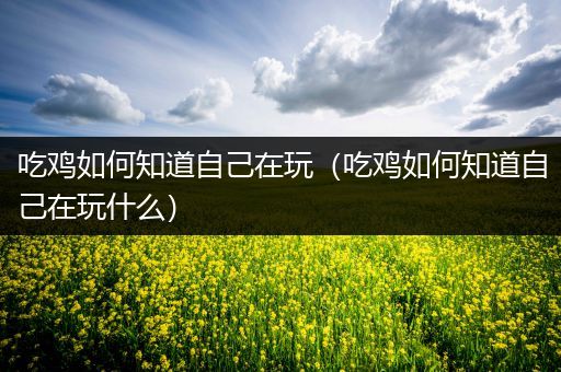 吃鸡如何知道自己在玩（吃鸡如何知道自己在玩什么）
