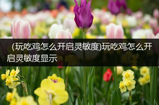（玩吃鸡怎么开启灵敏度)玩吃鸡怎么开启灵敏度显示