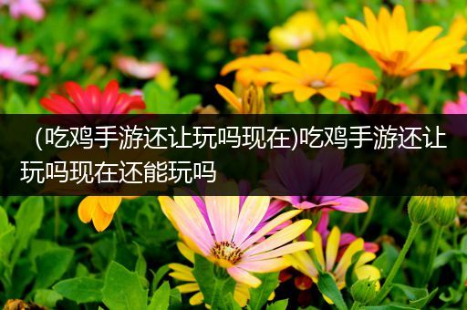 （吃鸡手游还让玩吗现在)吃鸡手游还让玩吗现在还能玩吗