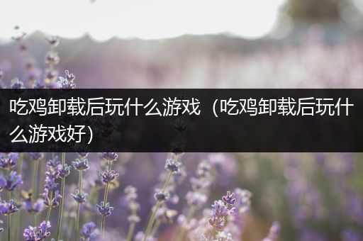 吃鸡卸载后玩什么游戏（吃鸡卸载后玩什么游戏好）